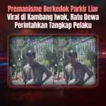 Premanisme Berkedok Parkir Liar Viral di Kambang Iwak, Ratu Dewa Perintahkan Tangkap Pelaku