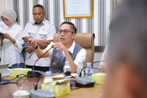 Ratu Dewa Berang, Rapat Antisipasi Banjir Malah Dihadiri Staf PPPK
